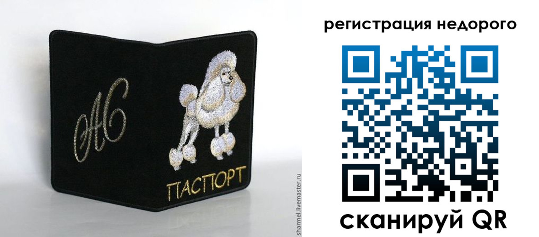 прописка в квартире в Мончегорске